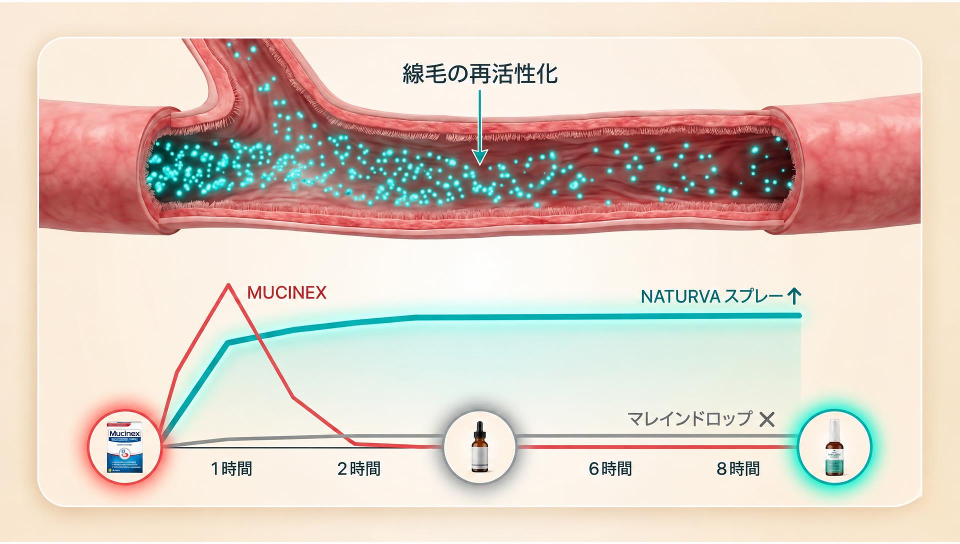 8時間にわたる気道の排出サポートをMucinexとマレインドロップと比較